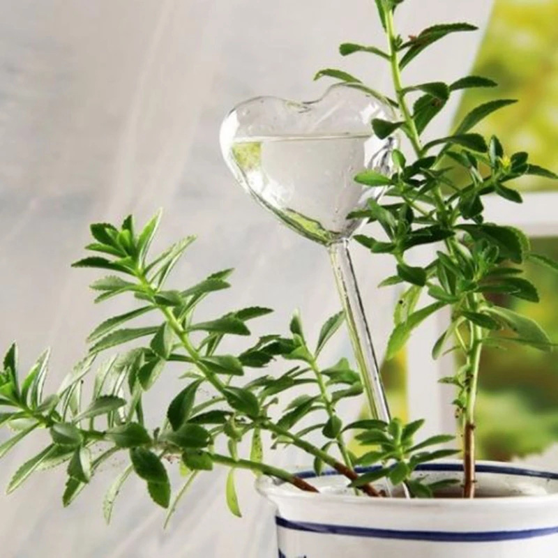 Gardening Tools Equipment - House/Garden Water Houseplant Plant Pot Little