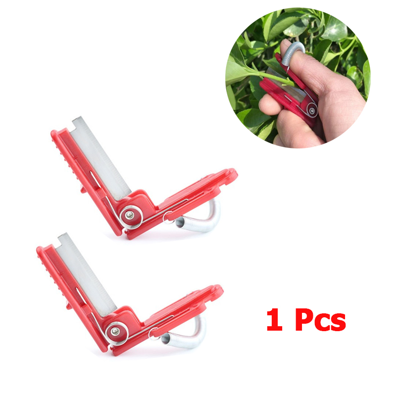 Vegetable Thump Knife Separato - Harvest Knife Garden 评论和价格