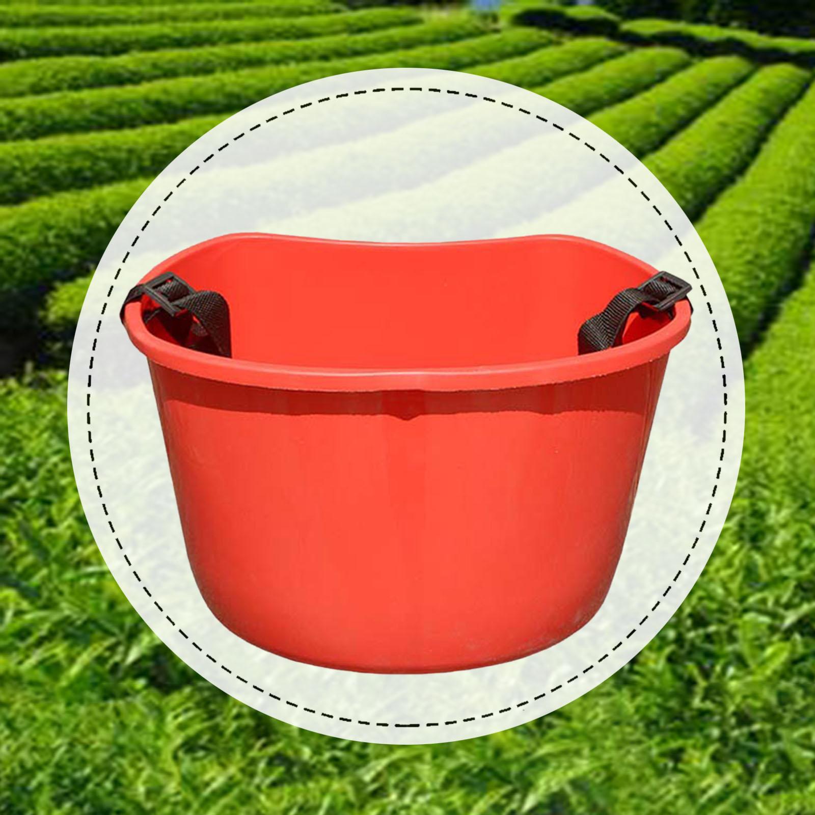 Picking Basket,Gardening Tool, - Gardening Tools Basket 评论和价格