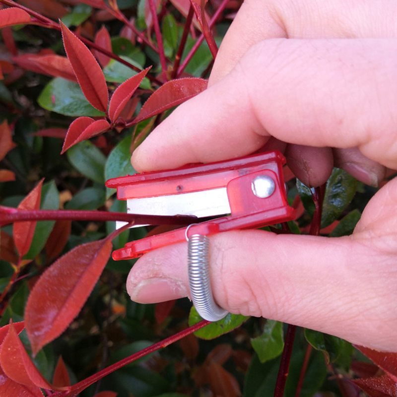 1/2/3pcs Vegetable Thump Knife - Harvest Knife Garden 评论和价格