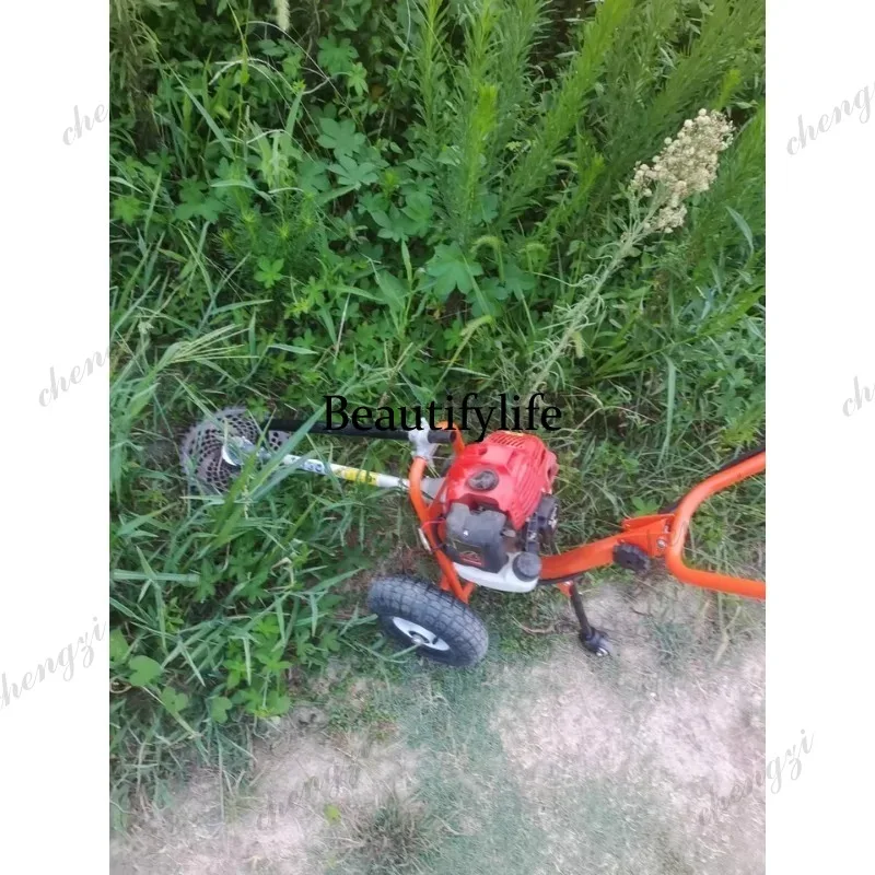 L178 Lawn mower hand push lawn - Gardening Tools Equipment 评论和价格