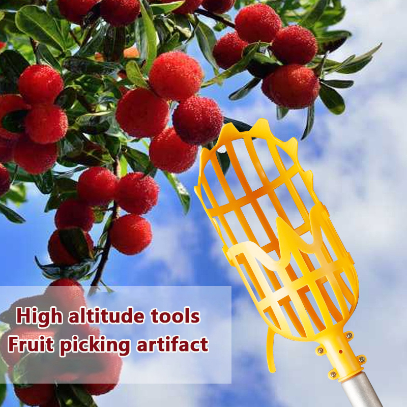 Picking Loquat Picking Bayberr - Gardening Tools Basket 评论和价格