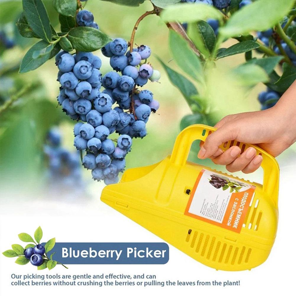 Blueberry Picker Rake | Effici - Gardening Tools Basket 评论和价格