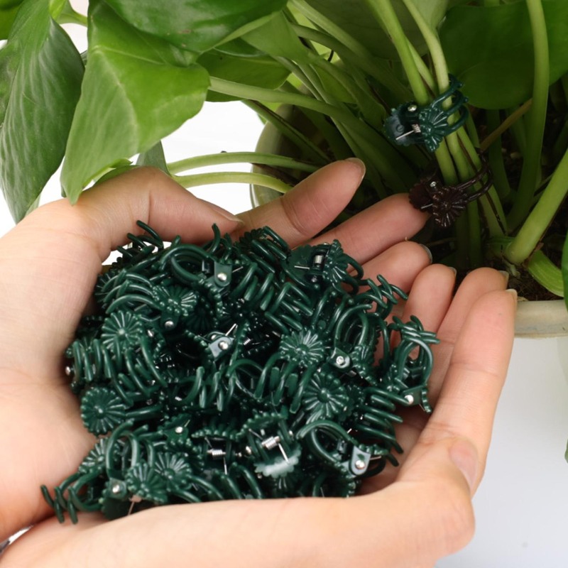 Wholesale Mini Plant Support C - Gardening Tools Store 评论和价格