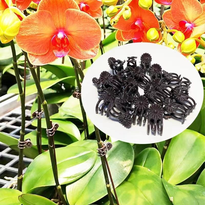 Wholesale Mini Plant Support C - Gardening Tools Store 评论和价格