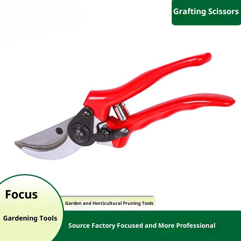 Premium Grafting Pruning Shear - Gardening Tools Quality 评论和价格