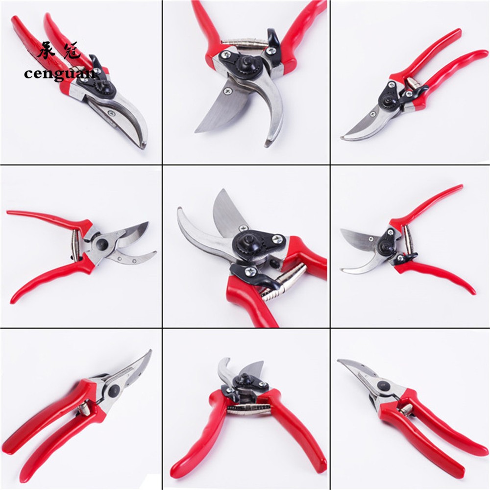 Premium Grafting Pruning Shear - Gardening Tools Quality 评论和价格