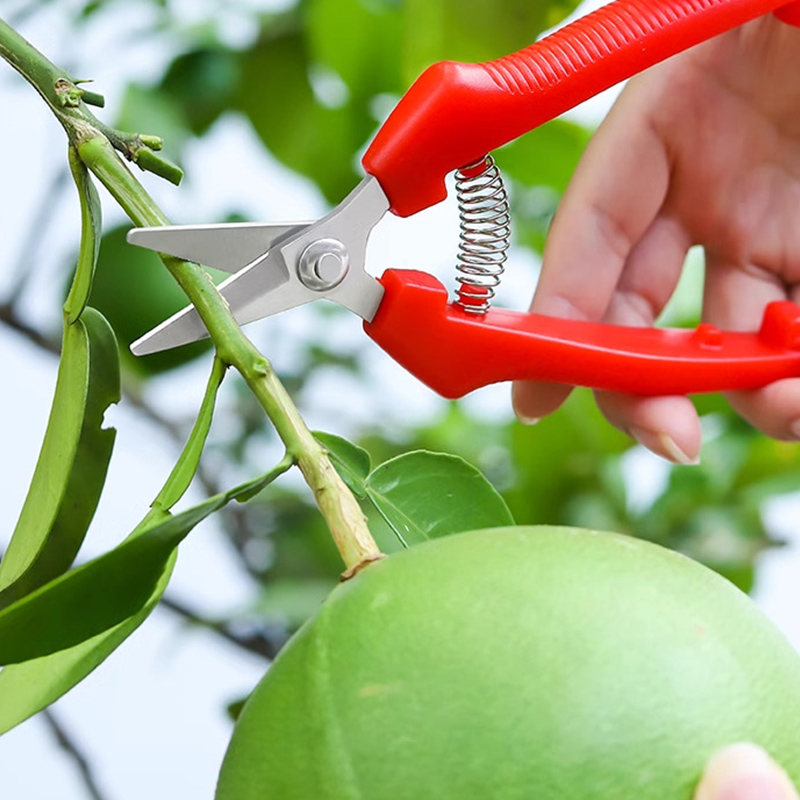 One-handed Scissors Pruning Sh - Gardening Tools To Cut Branches 评论和价格