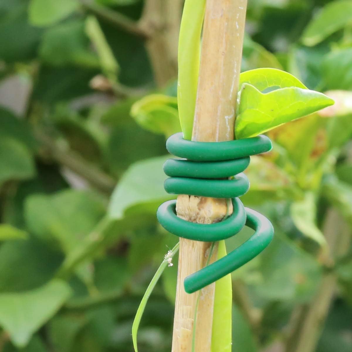 Garden Plants Climbing Tie Gre - Garden Wire Twist Tie 评论和价格