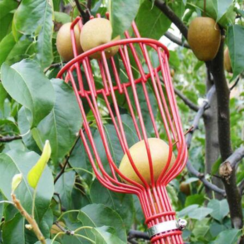 Deep Basket Fruit Picker Head  - Gardening Tools Basket 评论和价格