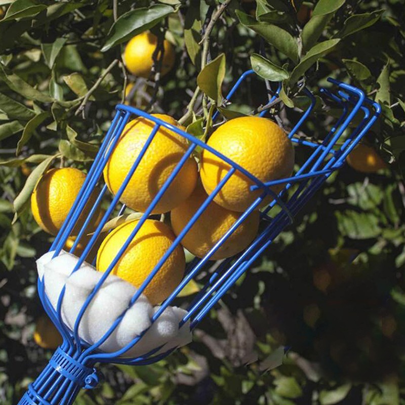 Deep Basket Fruit Picker Head  - Gardening Tools Basket 评论和价格