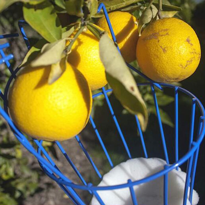 Deep Basket Fruit Picker Head  - Gardening Tools Basket 评论和价格