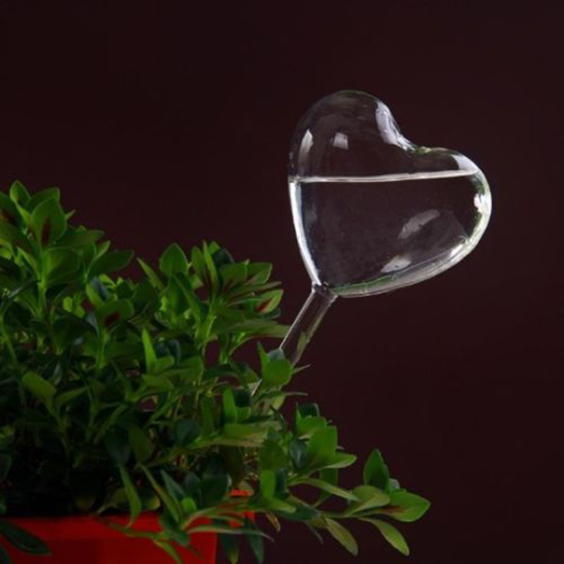 House/Garden Water Houseplant  - Gardening Tools Equipment 评论和价格