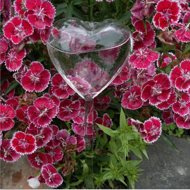 House/Garden Water Houseplant  - Gardening Tools Equipment 评论和价格