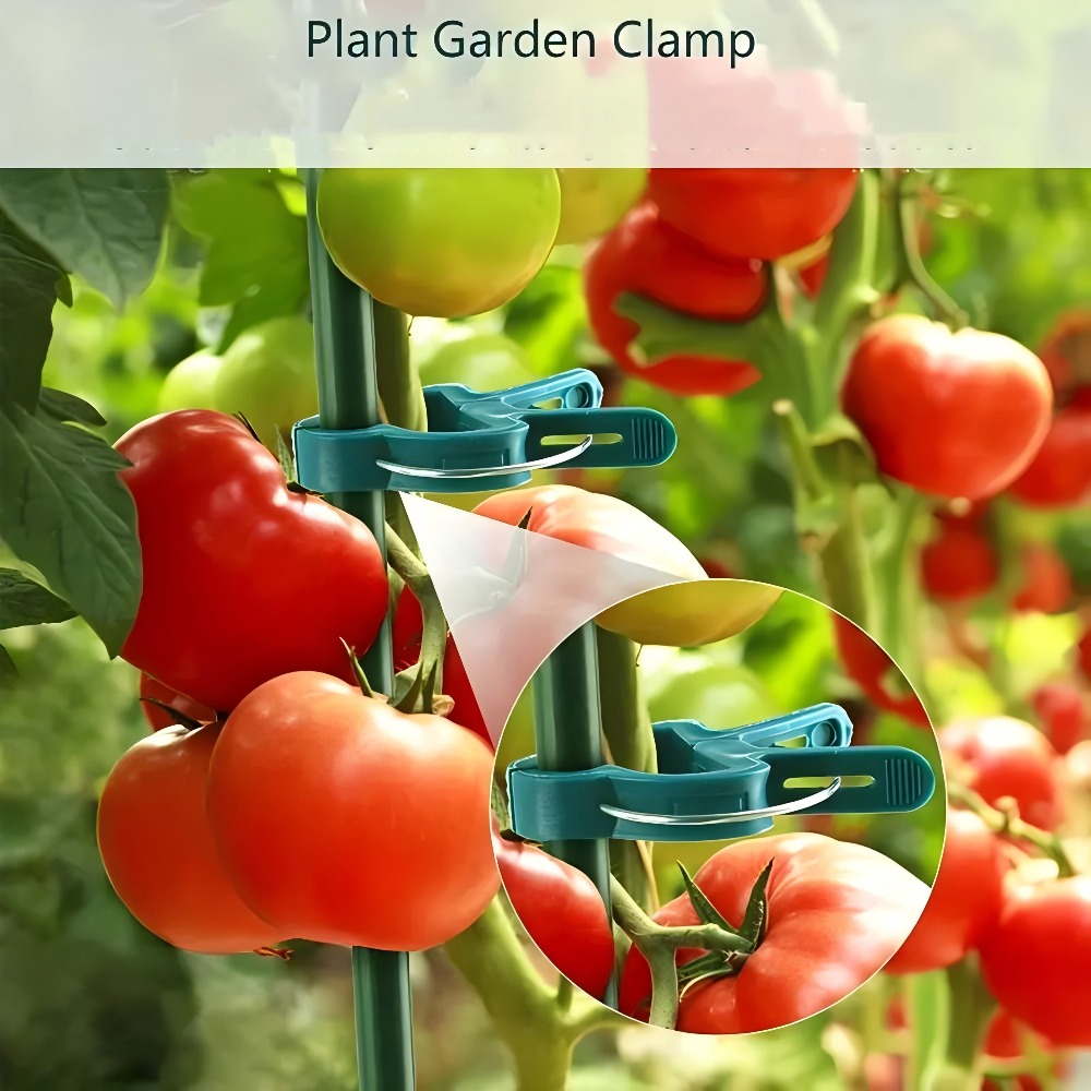 10/30/50pcs Adjustable Plant C - Gardening Tools Essential 评论和价格