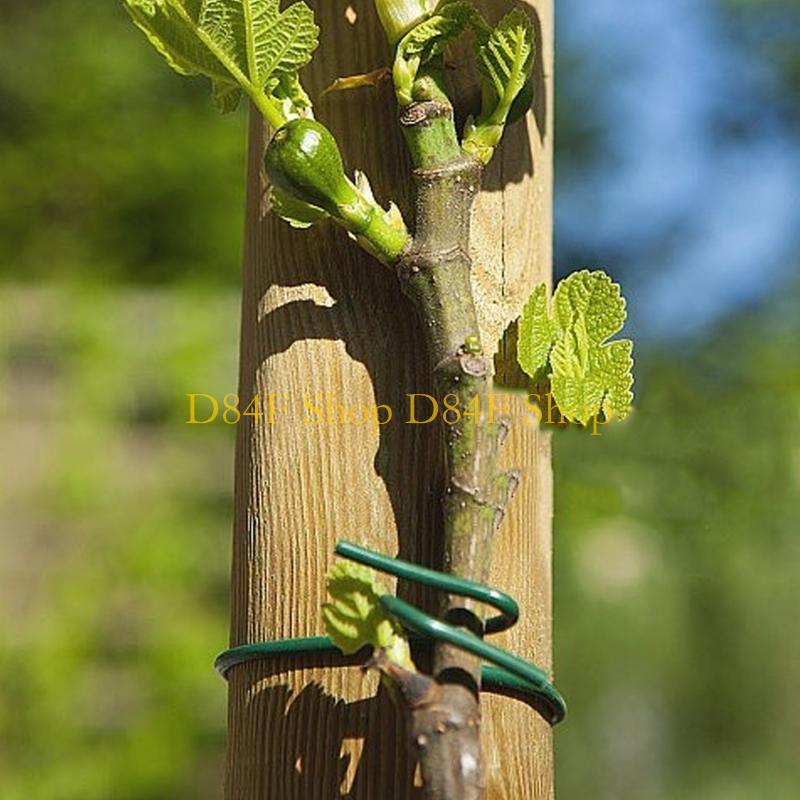 D84F Garden Wire Ties Plant Wi - Garden Wire Twist Tie 评论和价格