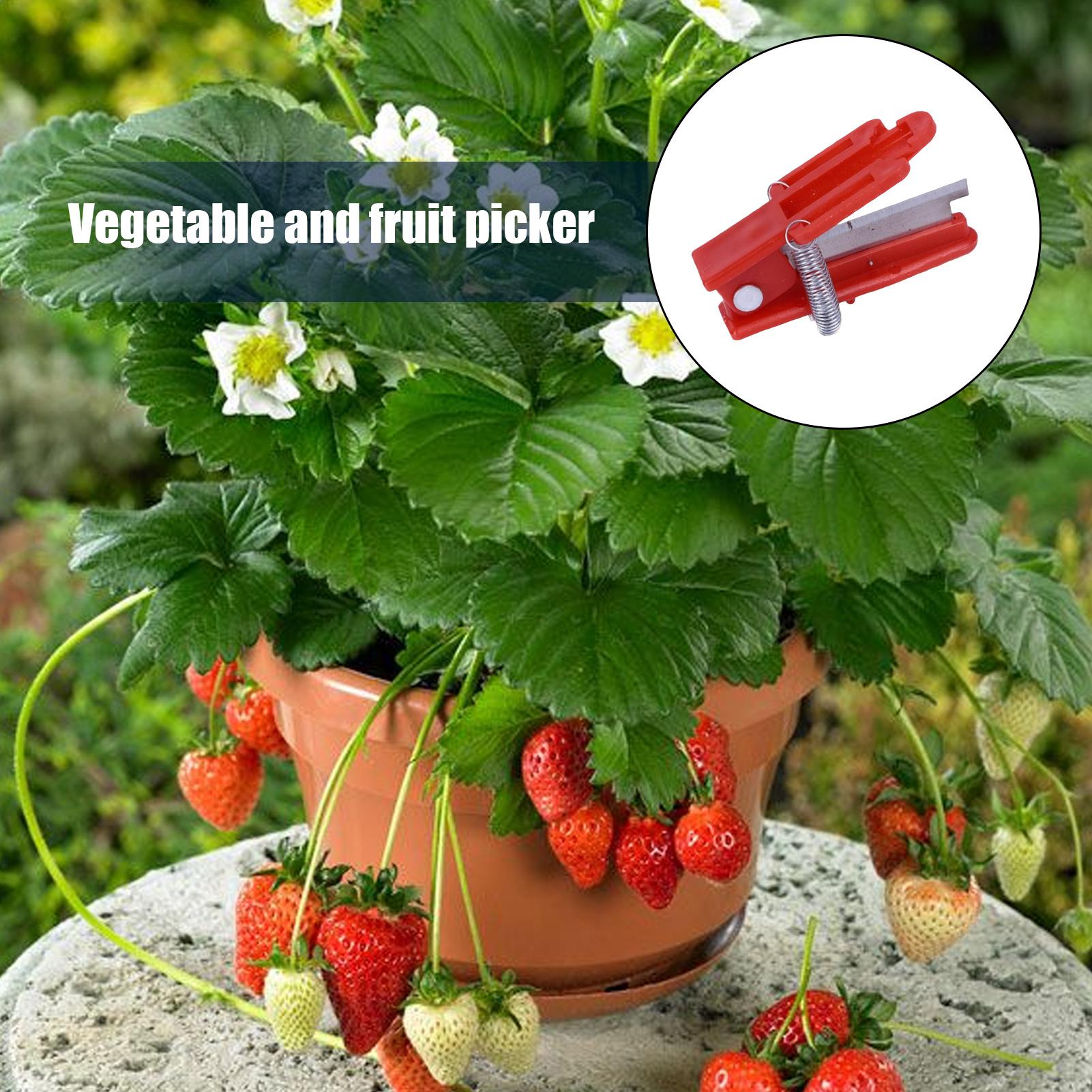 Multifunction Thumb Knife Gard - Harvest Knife Garden 评论和价格
