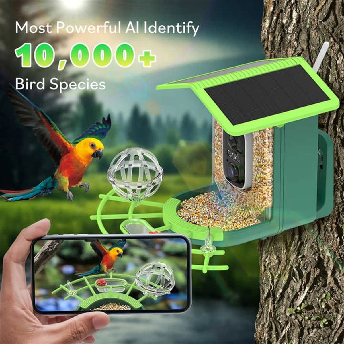 ABPP Smart Bird Feeder Camera  - Gardening Tools Video 评论和价格