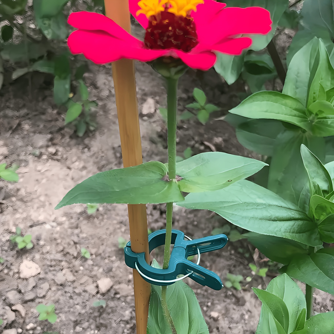 5PC Adjustable Plant Clips Lar - Gardening Tools Essential 评论和价格