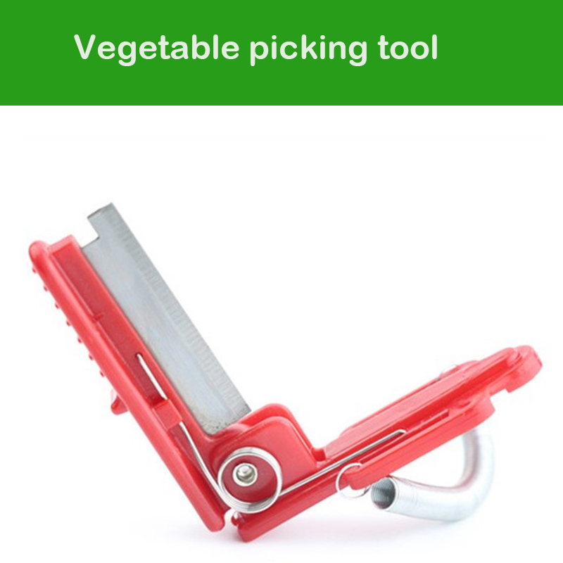 Knife Separator Vegetable Frui - Harvest Knife Garden 评论和价格