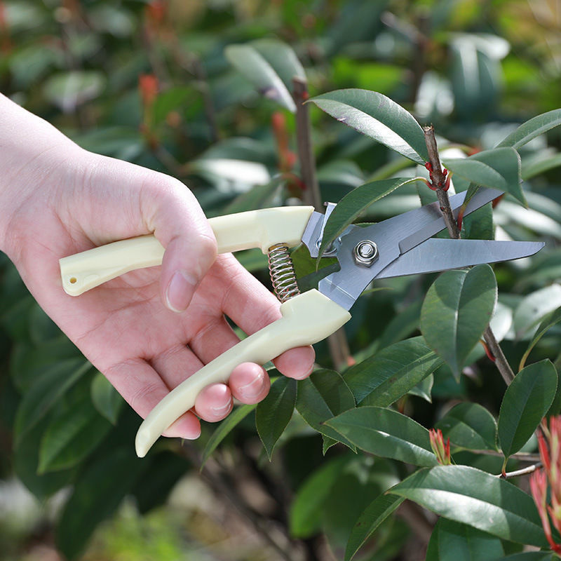 1PC Stainless Steel Pruning Sc - Gardening Tools To Cut Branches 评论和价格