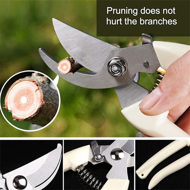 1PC Stainless Steel Pruning Sc - Gardening Tools To Cut Branches 评论和价格