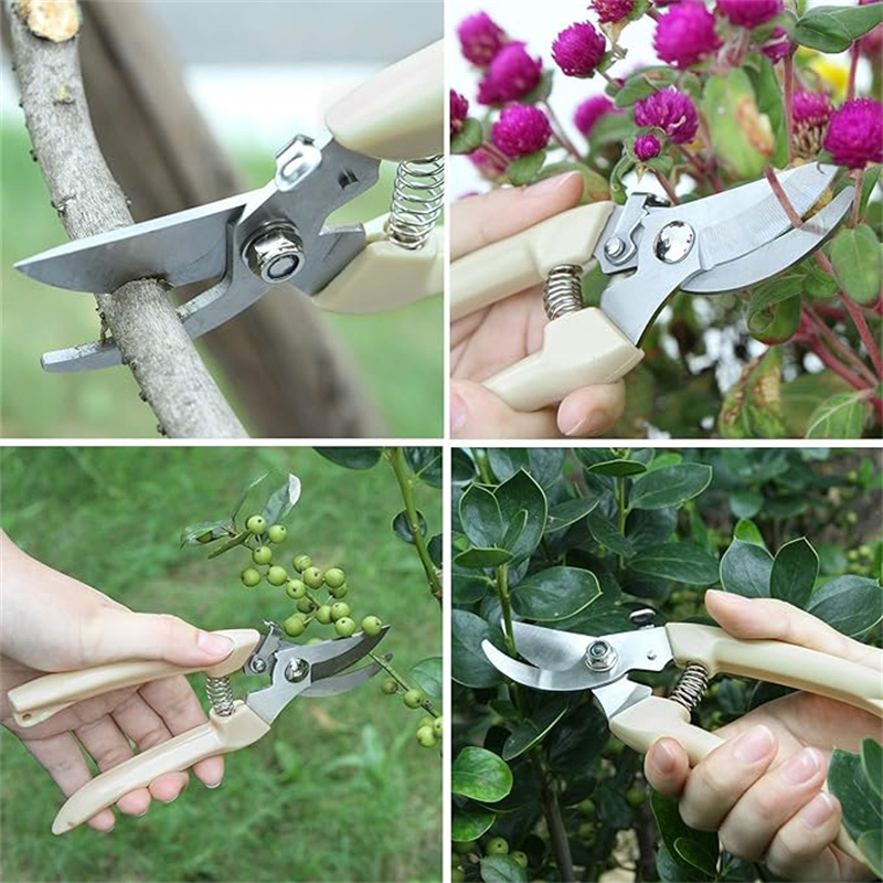 1PC Stainless Steel Pruning Sc - Gardening Tools To Cut Branches 评论和价格