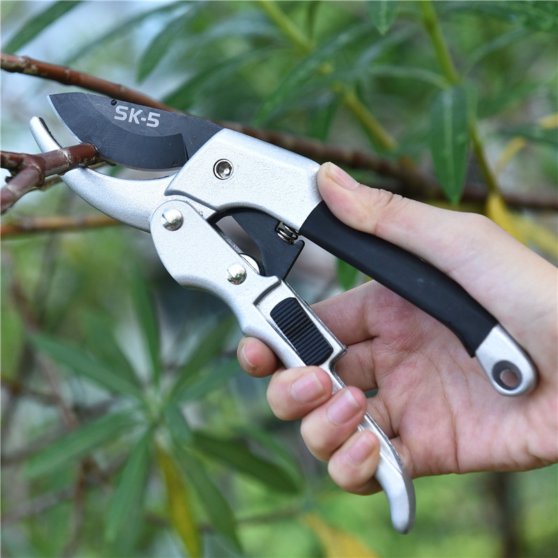 New 20cm Ratchet Plant Trim Ho - Gardening Tools To Cut Branches 评论和价格