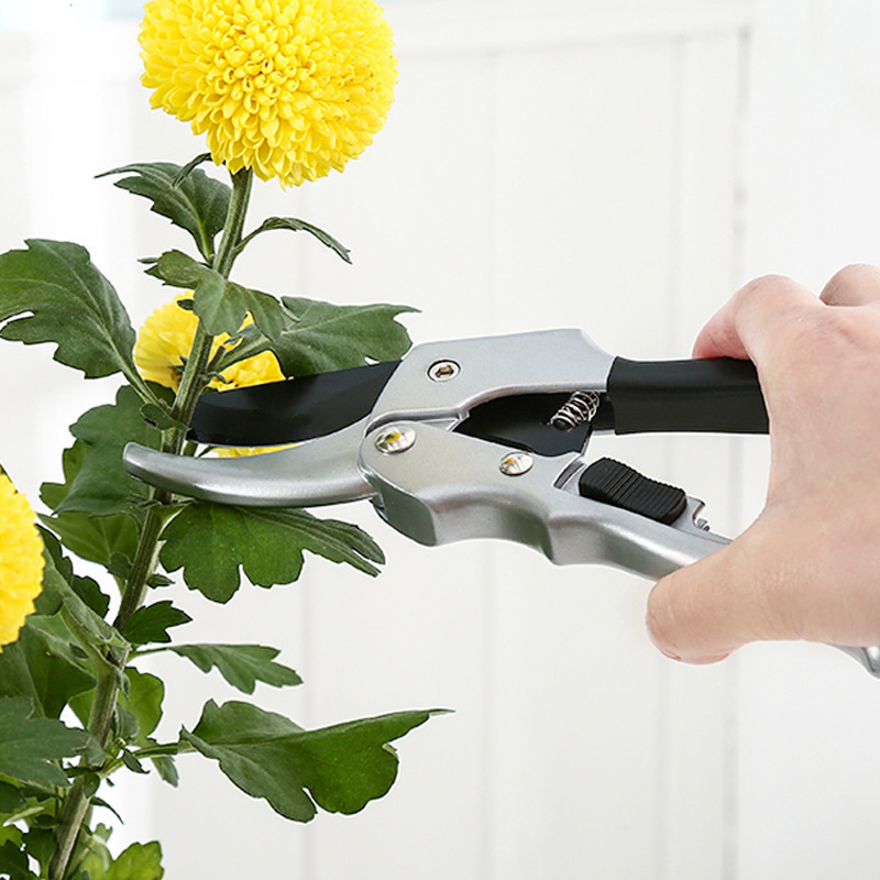 New 20cm Ratchet Plant Trim Ho - Gardening Tools To Cut Branches 评论和价格