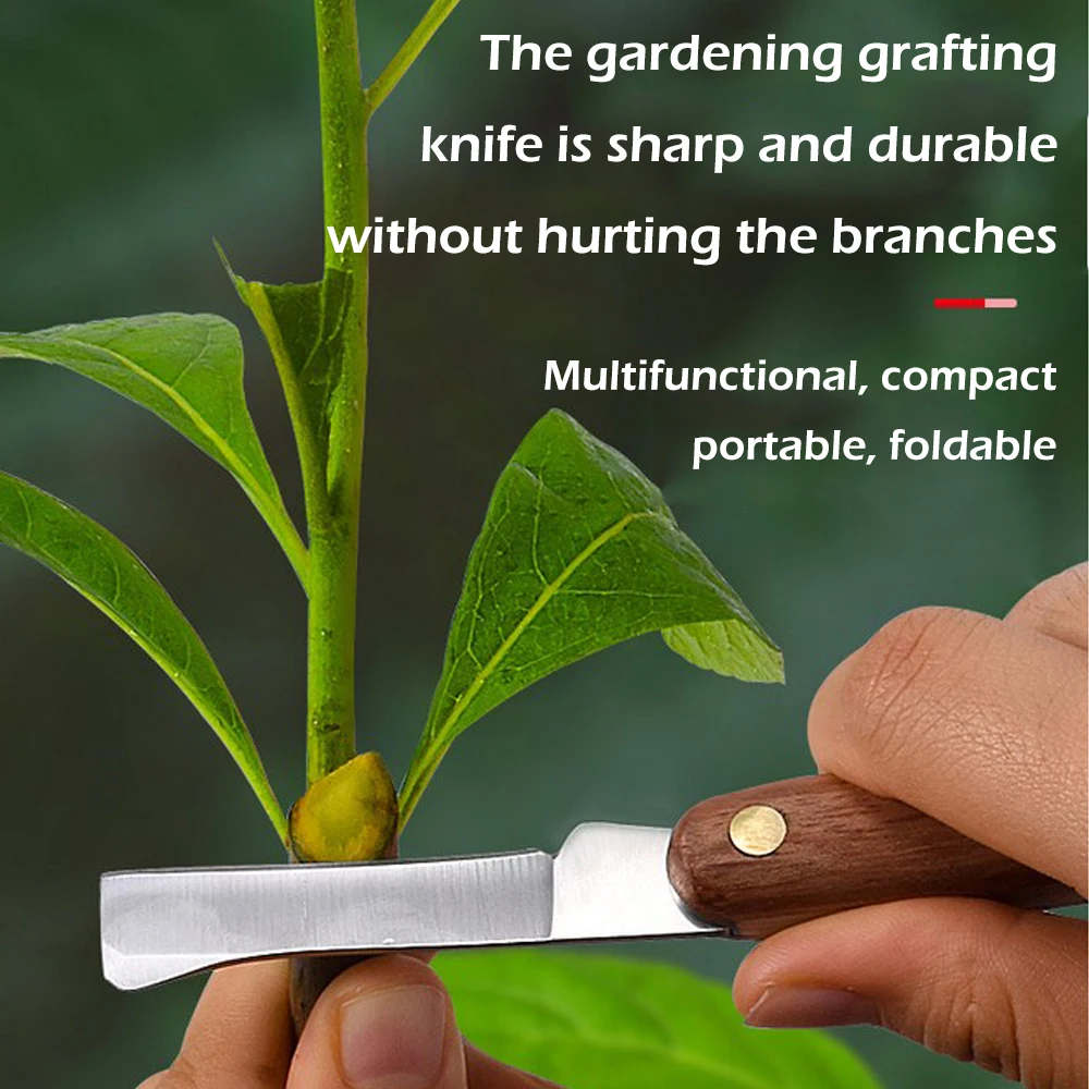 Grafting Tools Foldable Prunin - Harvest Knife Garden 评论和价格