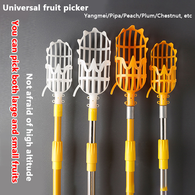 Picking Loquat Picking Bayberr - Gardening Tools Basket 评论和价格