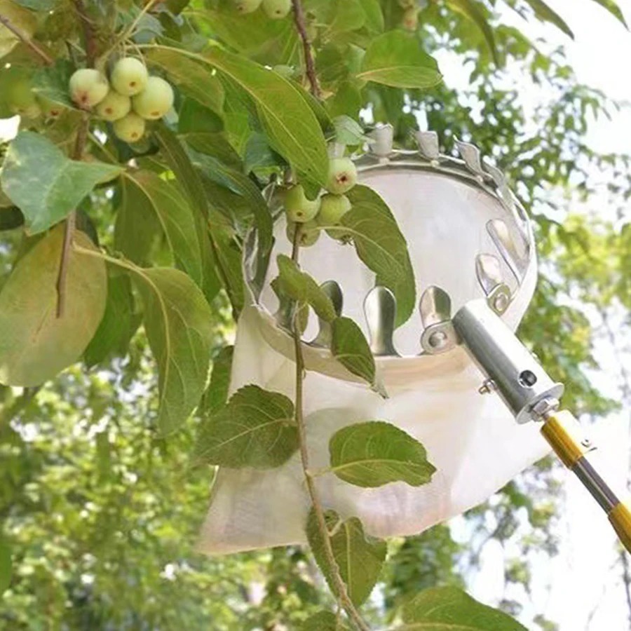 Professional Berry Picker Tool - Gardening Tools Basket 评论和价格