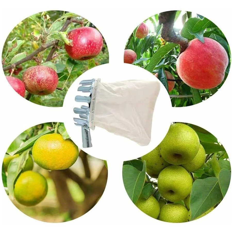 Professional Berry Picker Tool - Gardening Tools Basket 评论和价格