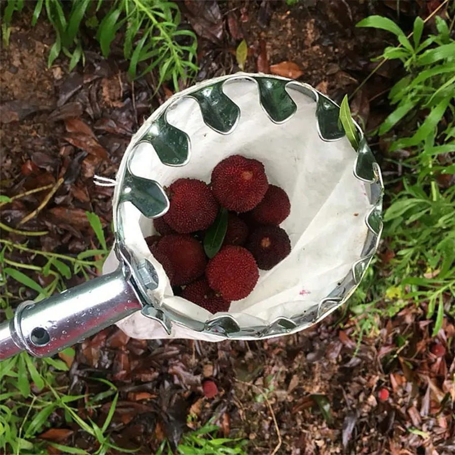 Professional Berry Picker Tool - Gardening Tools Basket 评论和价格