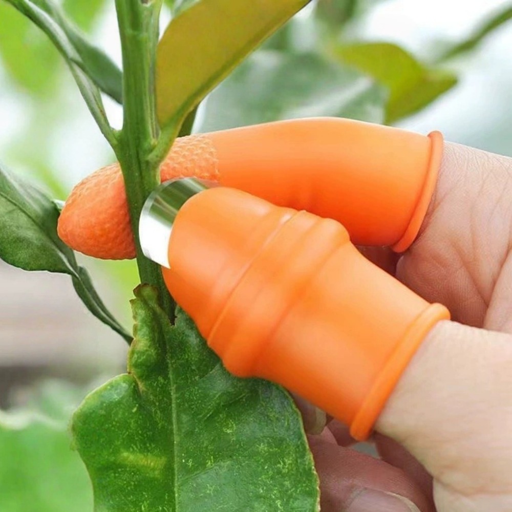 Vegetable Picking Stainless St - Harvest Knife Garden 评论和价格