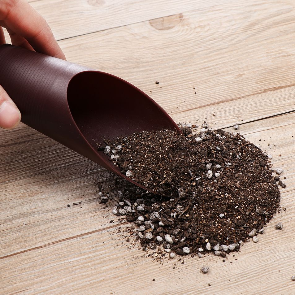 1PC Plastic Soil Shovel Cup Fo - Gardening Tools Equipment 评论和价格