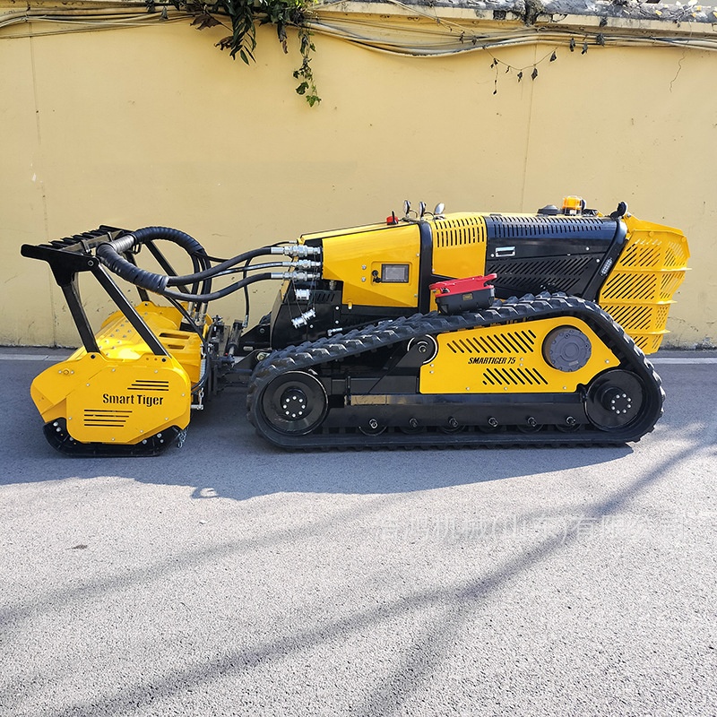 Intelligent Remote Control Cra - Gardening Tools Store 评论和价格